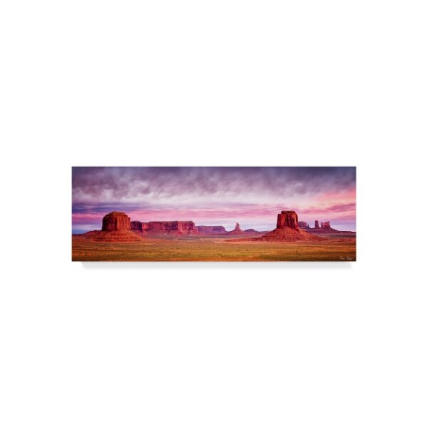 Trademark Fine Art David Drost 'Pink Morning Glory V' Canvas Art